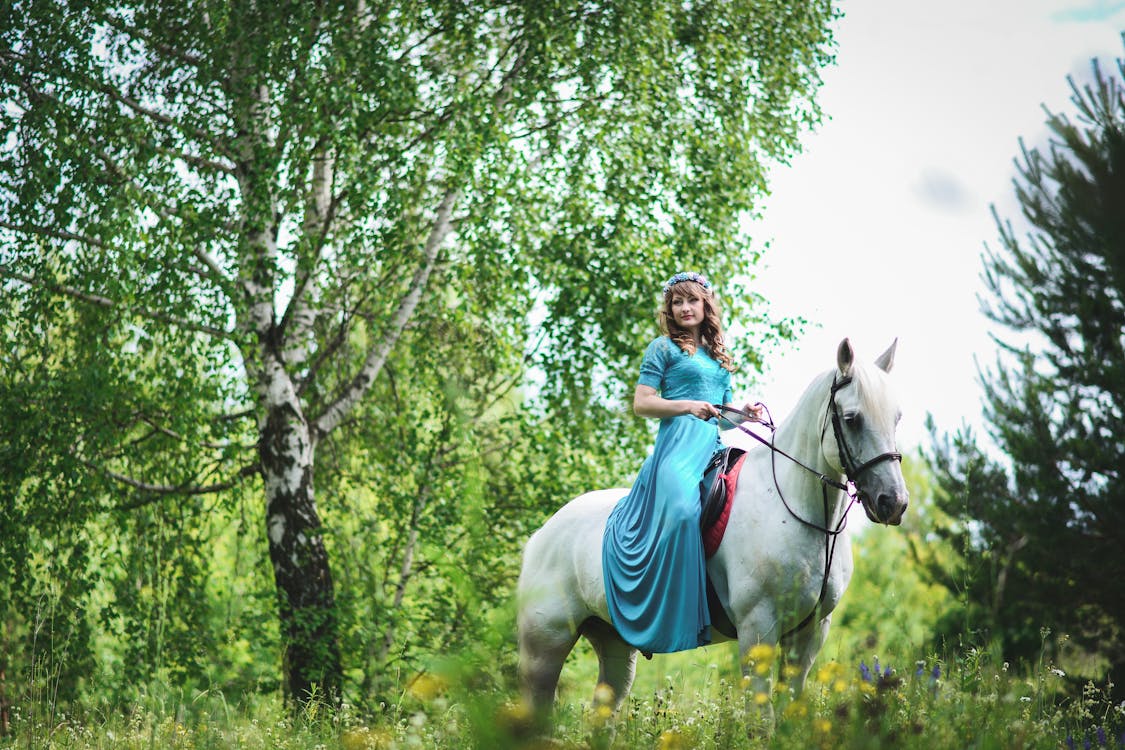 бесплатная Женщина в белой лошади в лесу Стоковое фото