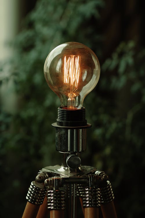 Free Iridescent Light Bulb Is Turned on Stock Photo