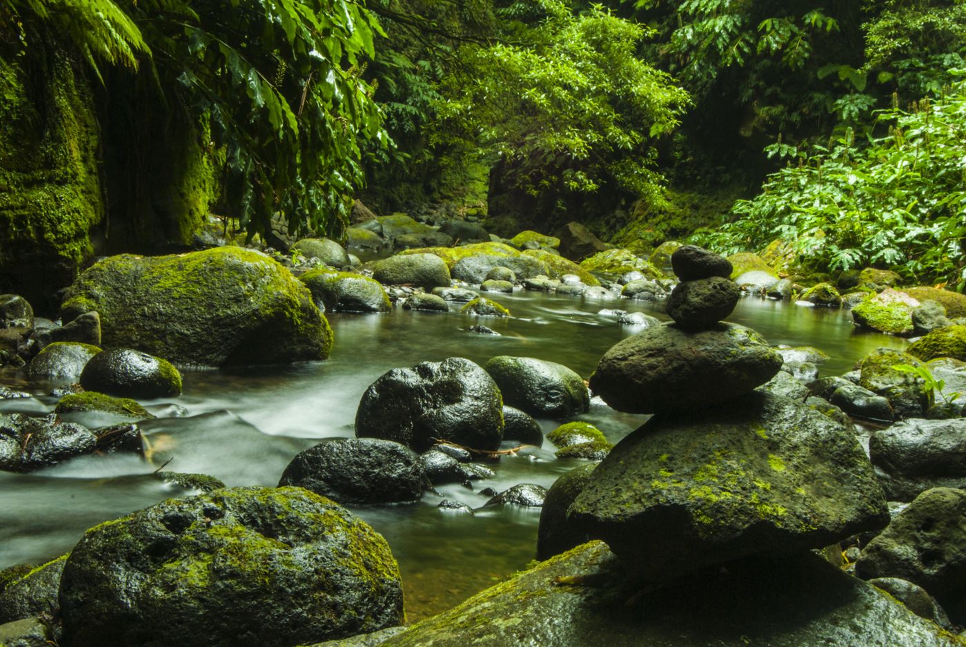 A forest stream with stacked stones and lush greenery