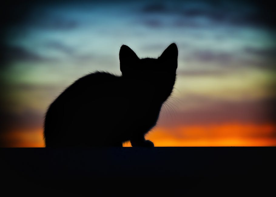 animal, art, backlight