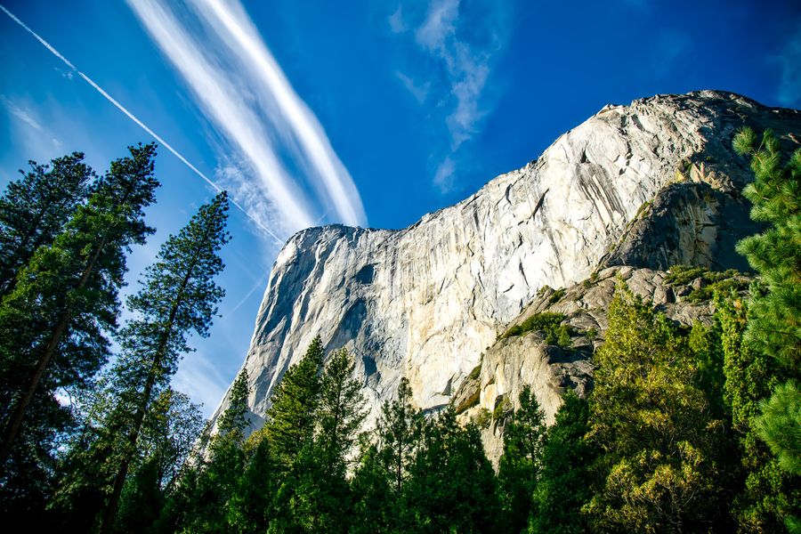 The towering granite face of El Capitan in Yosemite Valley, the wall that draws big-wall climbers from around the world