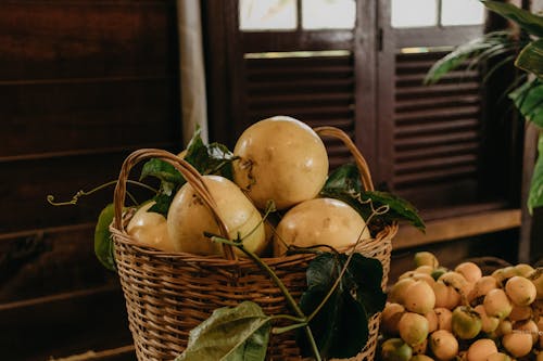 Gratis stockfoto met appel, blad, boerenbedrijf