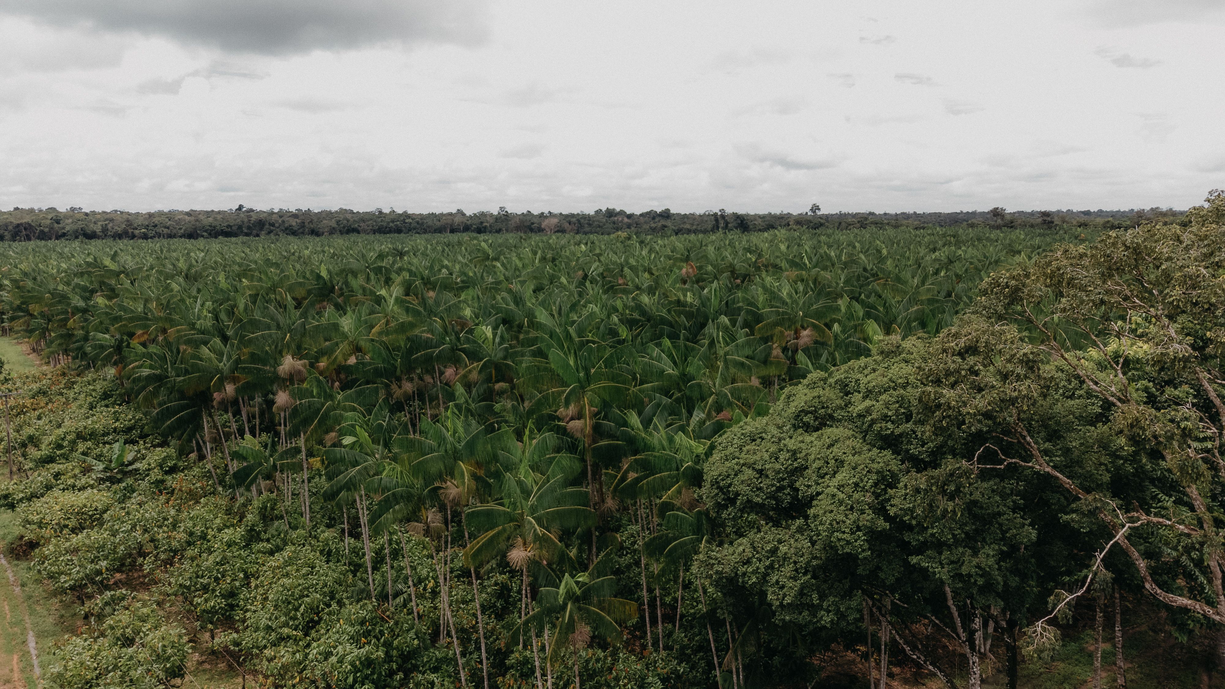 Environmental Conservation