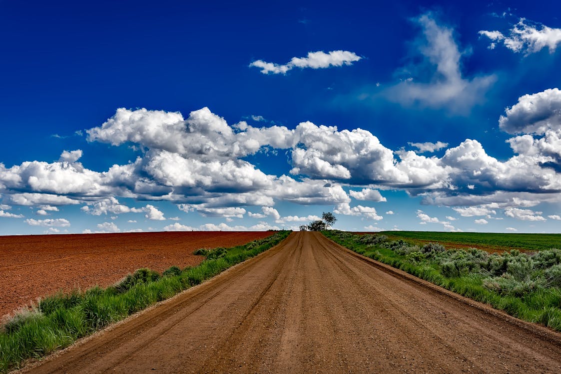 Free Gray Soil Road Near Field during Daytime Photo Stock Photo