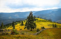 连绵起伏的山丘绿树成荫，景色优美，可供欣赏