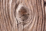 木质树干经过风化后的特写，纹理独特，图案自然