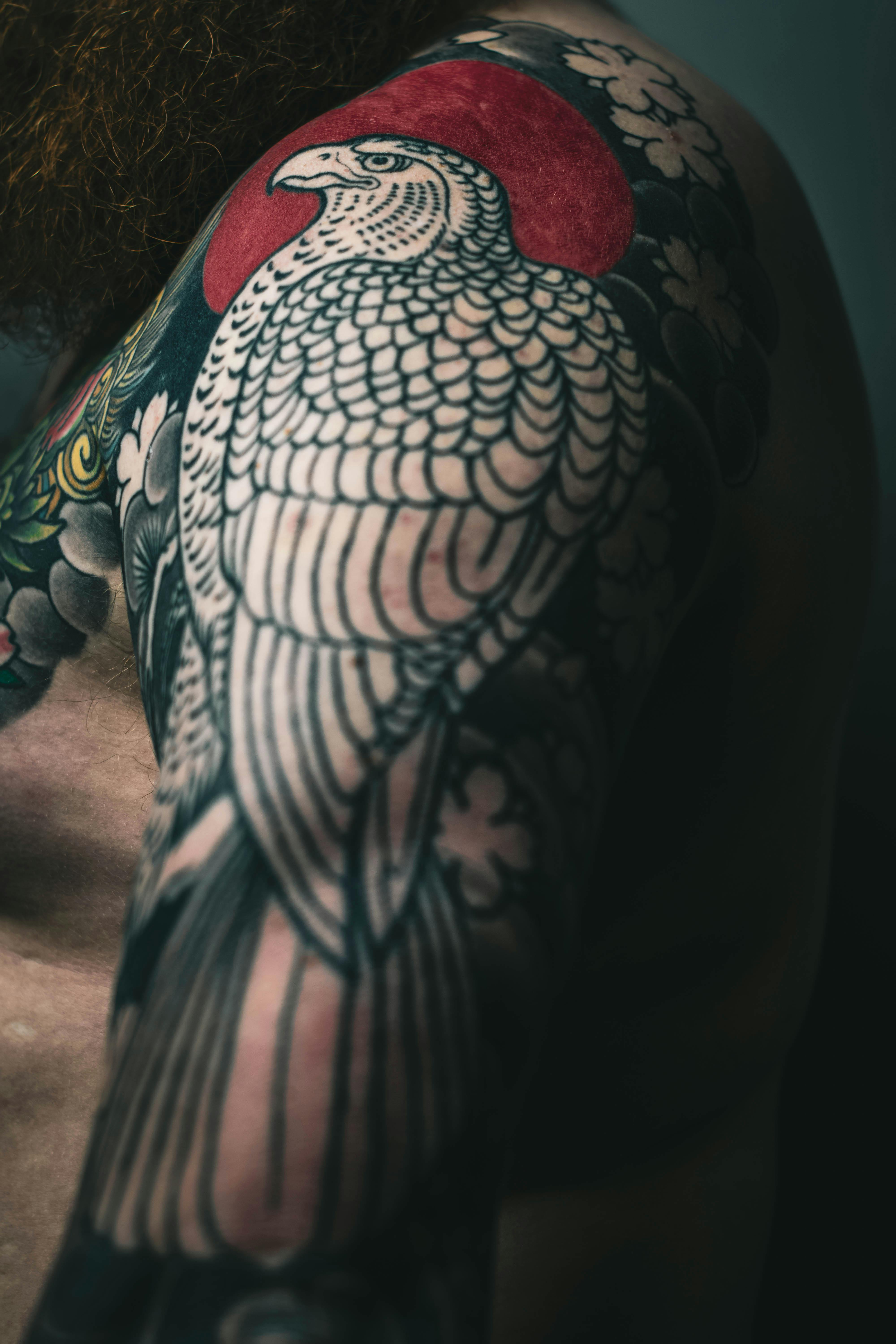 Tattoo uploaded by Nate • 𝙄𝙂: 𝙣𝙖𝙩𝙚_𝙩𝙝𝙖𝙞𝙡𝙖𝙣𝙙 🌿 Blackwork small  hawk tattoo by Thai tattoo artist in Chiang Mai • Tattoodo
