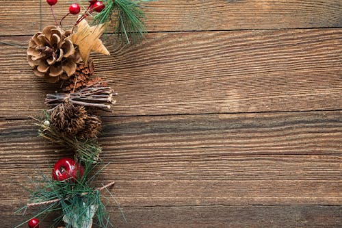 Free Brown Mistletoe and Pinecone Christmas Decor Stock Photo