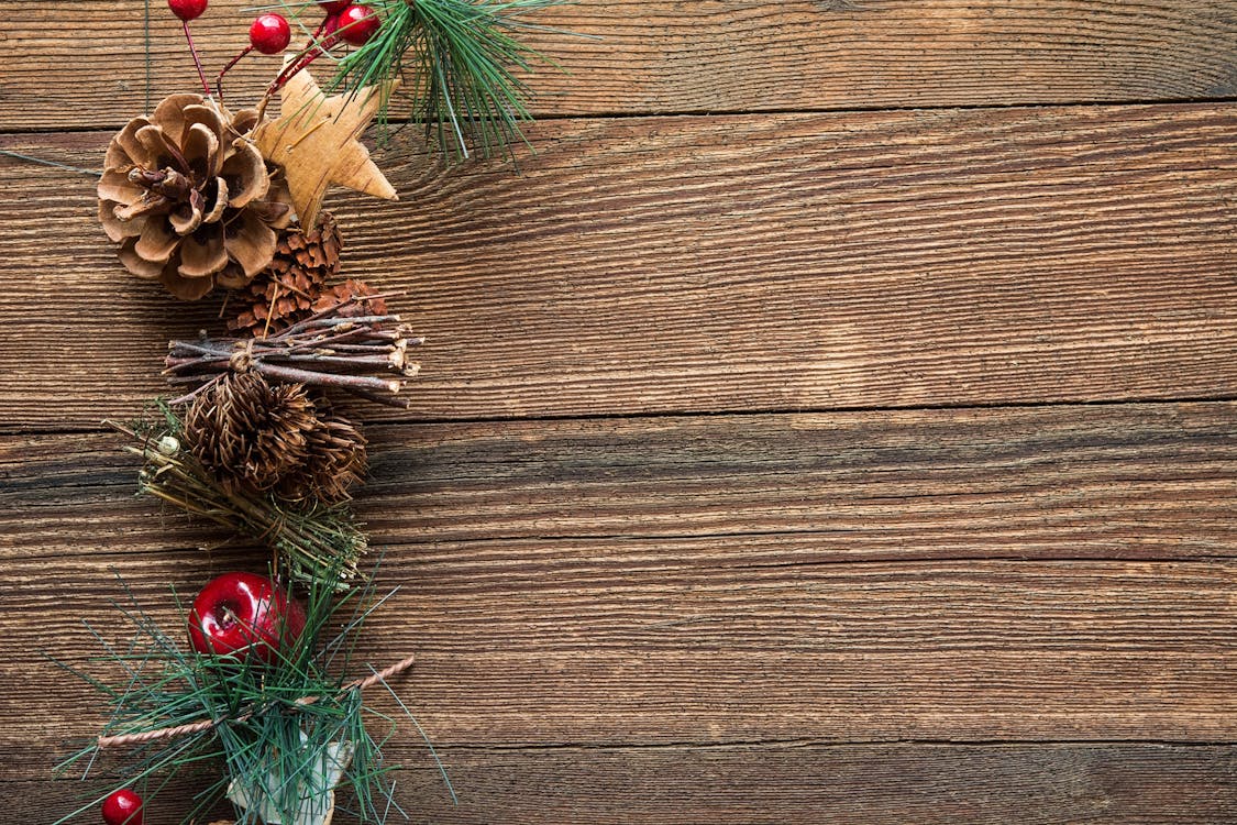 бесплатная Рождественский декор из коричневой омелы и шишки Стоковое фото