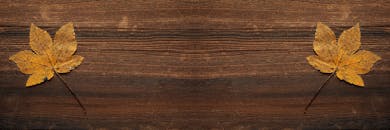 木制背景上的两片秋季枫叶质朴自然，非常适合季节性设计