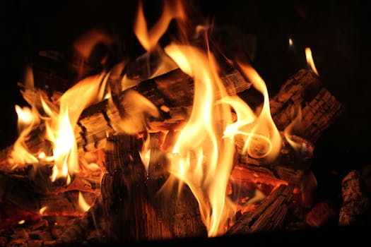 Free stock photo of wood, dark, firewood, fire