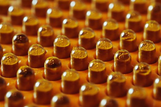 Detailed view of orange capsules arranged in rows with selective focus.