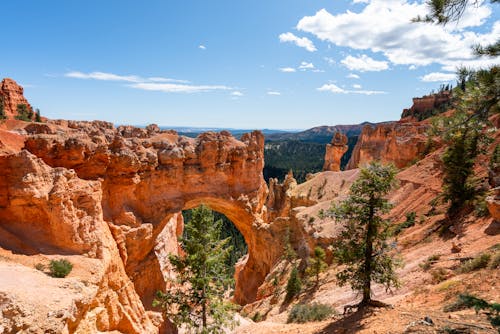 Ingyenes stockfotó Amerika, baljós, bryce témában