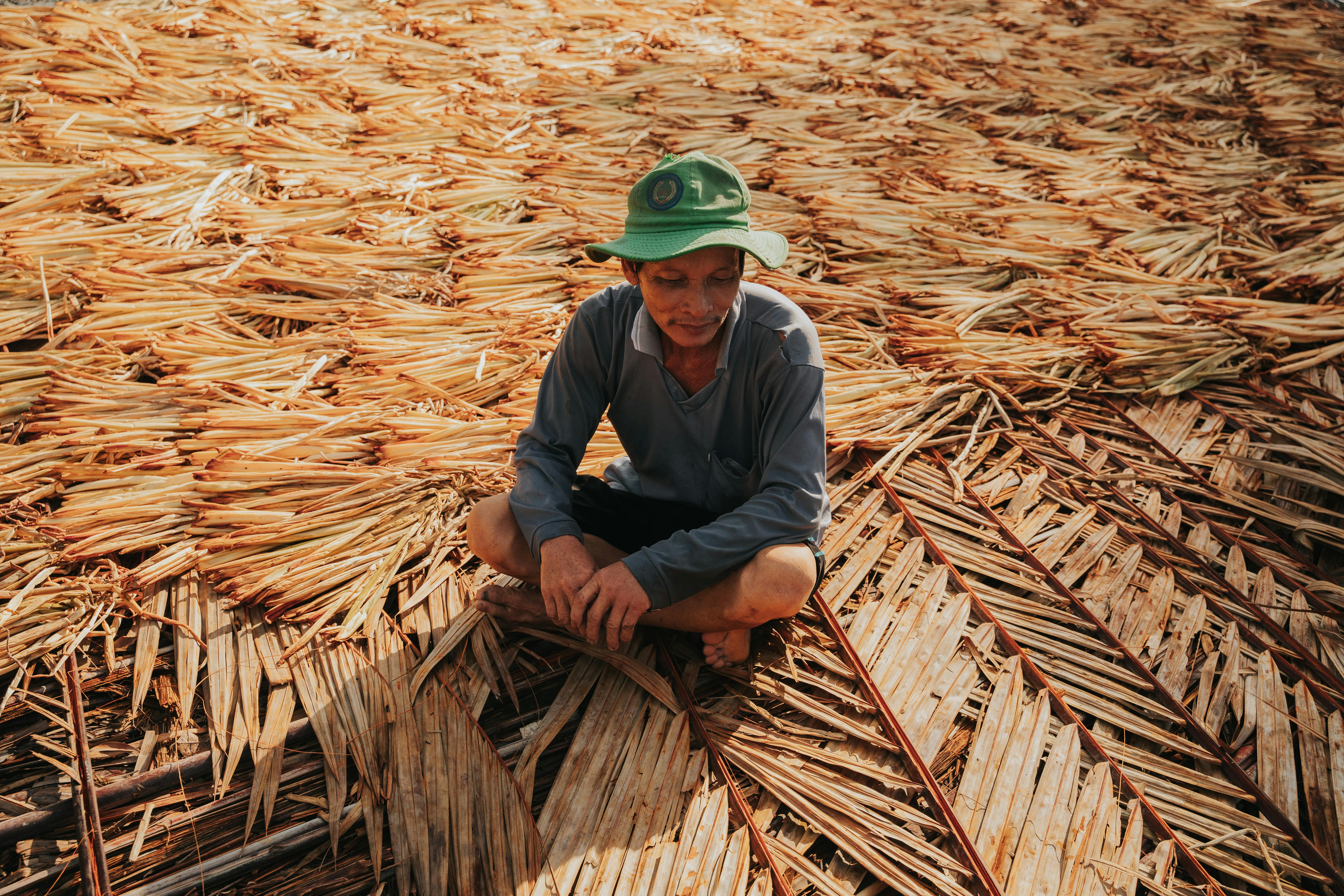 A rural farmer sitting on dried palm leaves in a sunlit field, wearing a green hat.