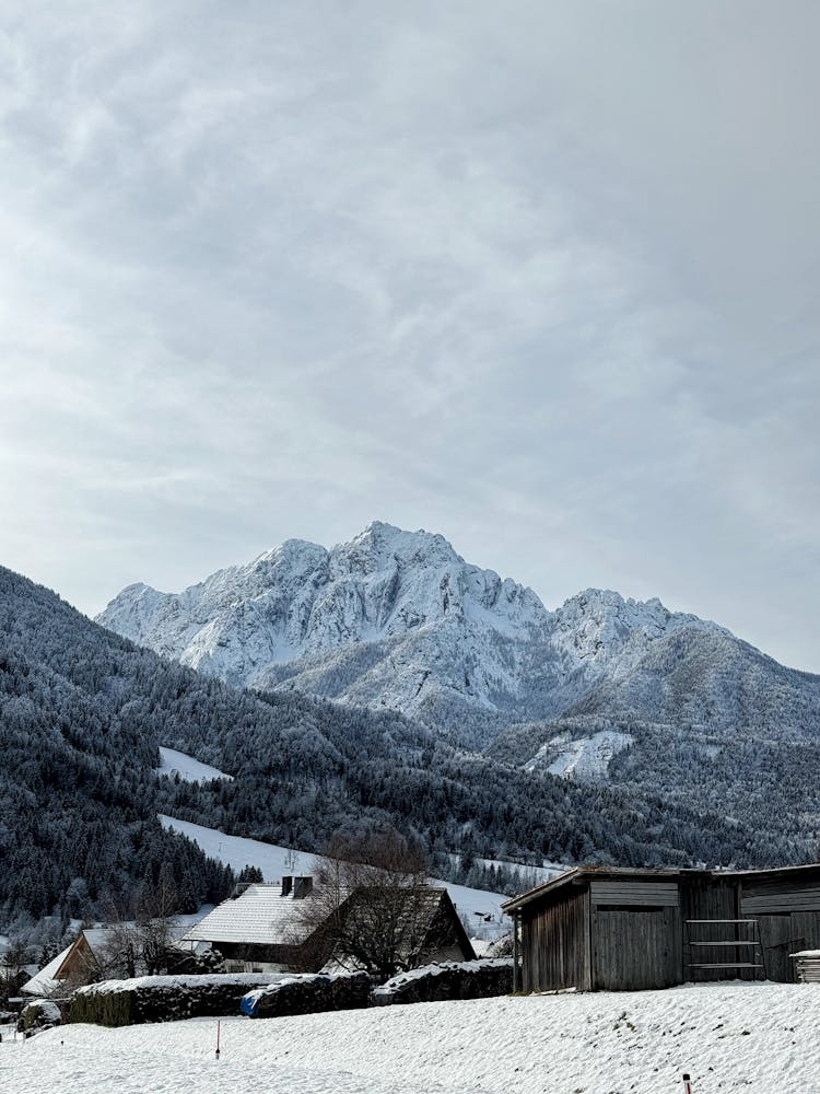 Alps In Winter