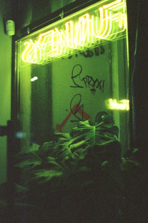 A neon sign with the words funky's on it