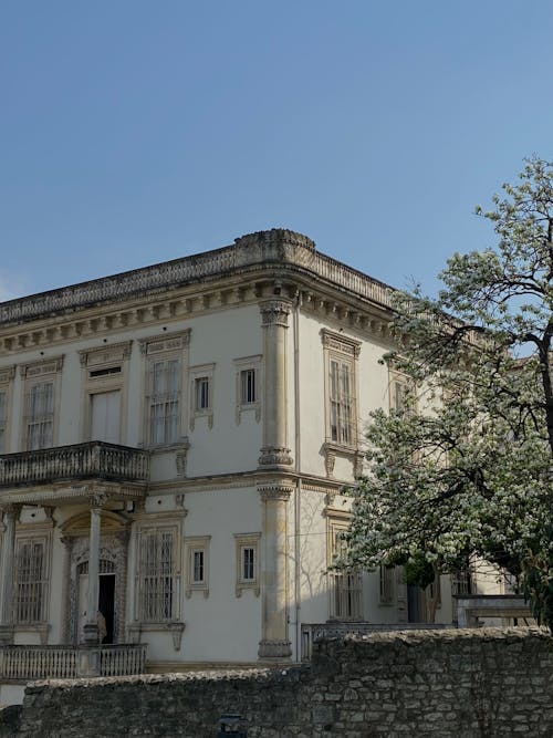 Foto profissional grátis de ancião, ao ar livre, aparência