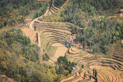 Foto d'estoc gratuïta de a l'aire lliure, agricultura, aiguamoll