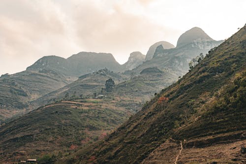 brinkblome, hagiang, ho 的 免费素材图片