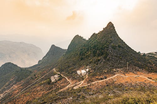 brinkblome, hagiang, ho 的 免费素材图片