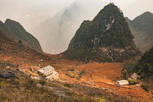 brinkblome, hagiang, ho 的 免费素材图片