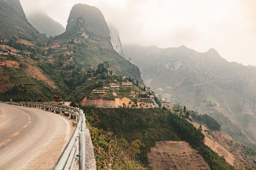 brinkblome, hagiang, ho 的 免费素材图片