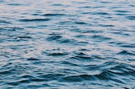 白天捕捉到的海浪宁静而平静，非常适合以自然为主题的项目