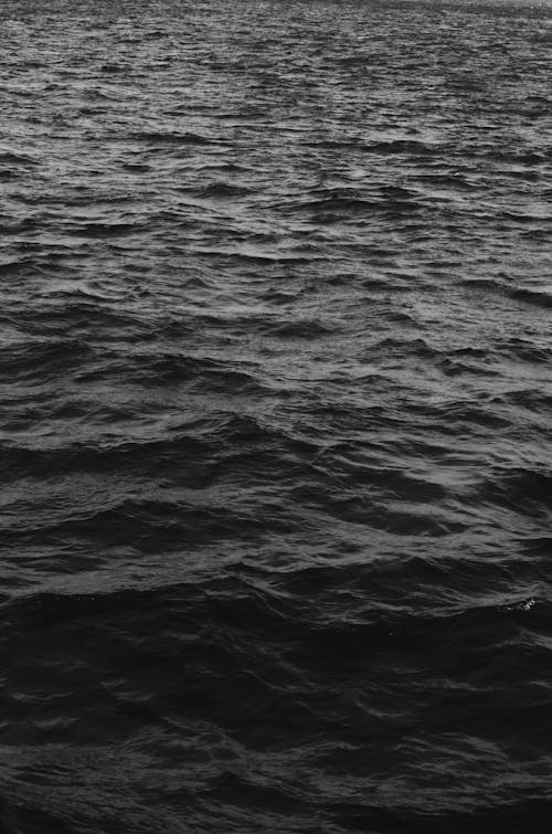 Kostnadsfri bild av h2O, hav, hav svart och vitt
