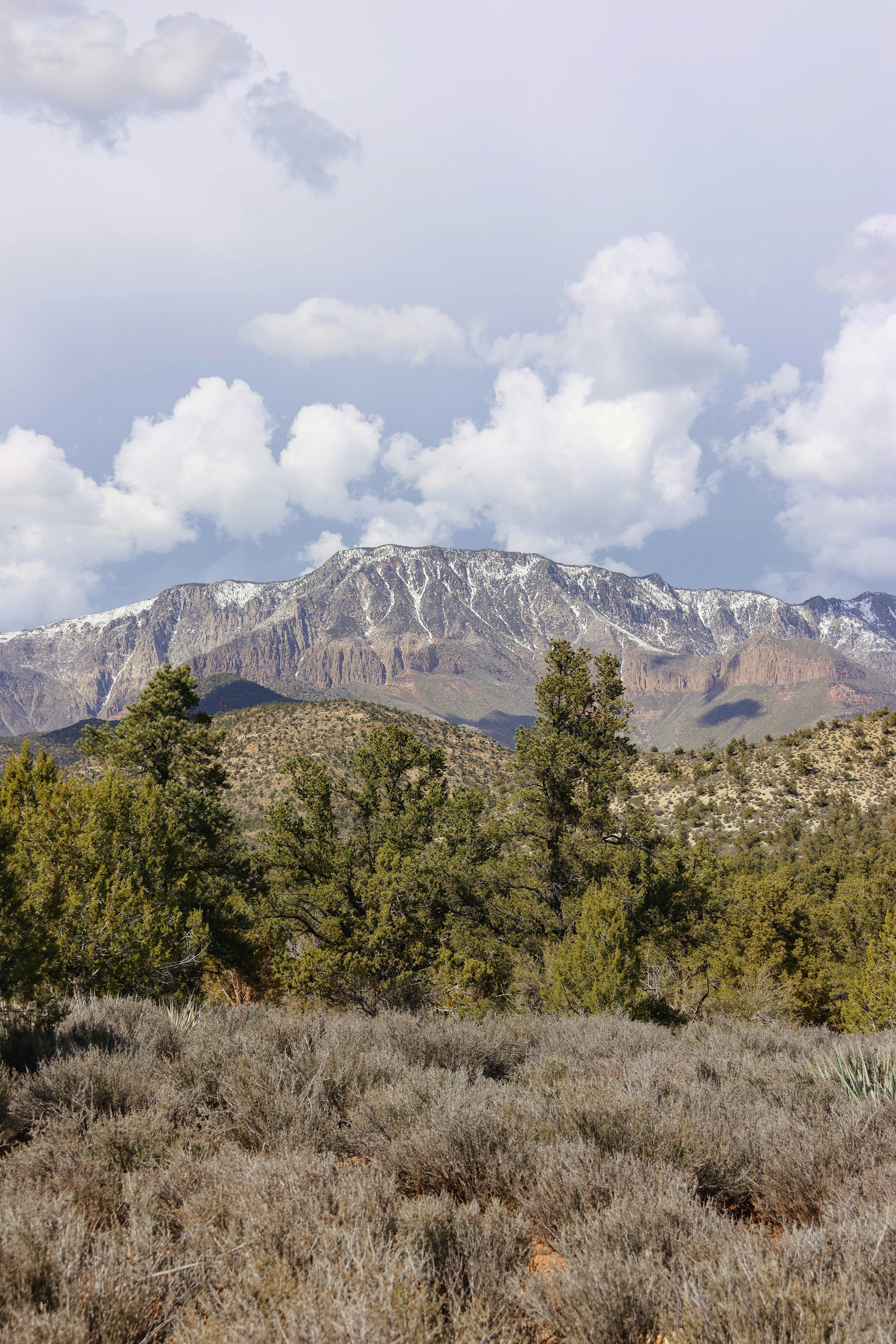 Breathtaking view of snowcapped mountains in Utah with lush greenery in the foreground.