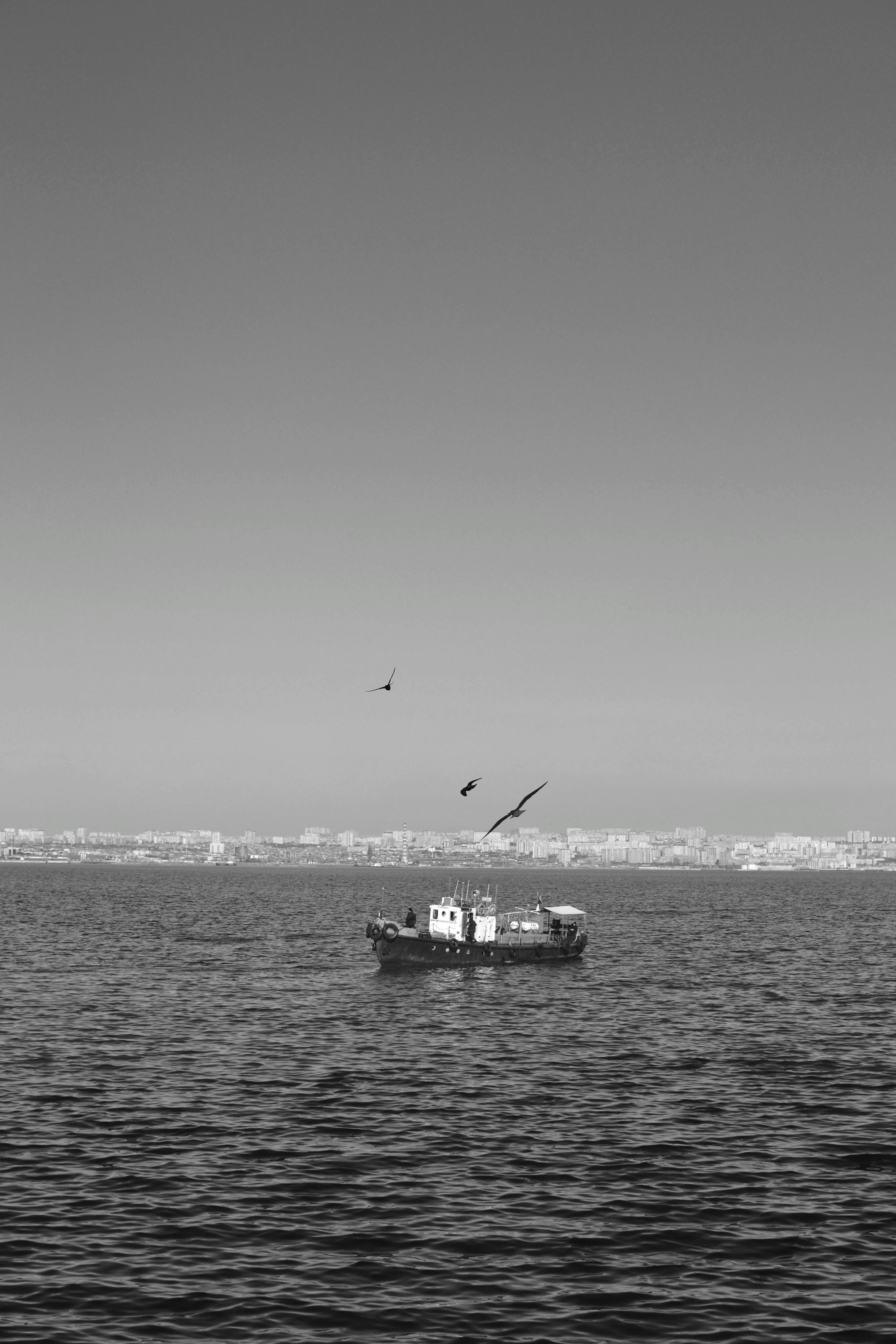 A serene black and white photo of a fishing boat at sea with a city skyline in the background.