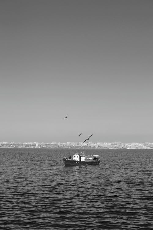 Бесплатное стоковое фото с аналоговая камера, большой город, вода