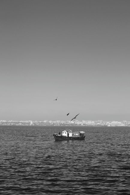 A serene black and white photo of a fishing boat at sea with a city skyline in the background.