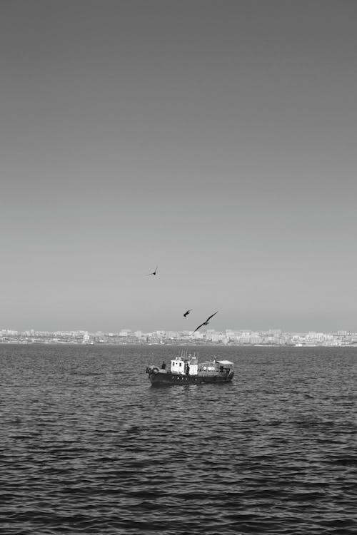 Безкоштовне стокове фото на тему «аналогова камера, берег моря, велике місто»