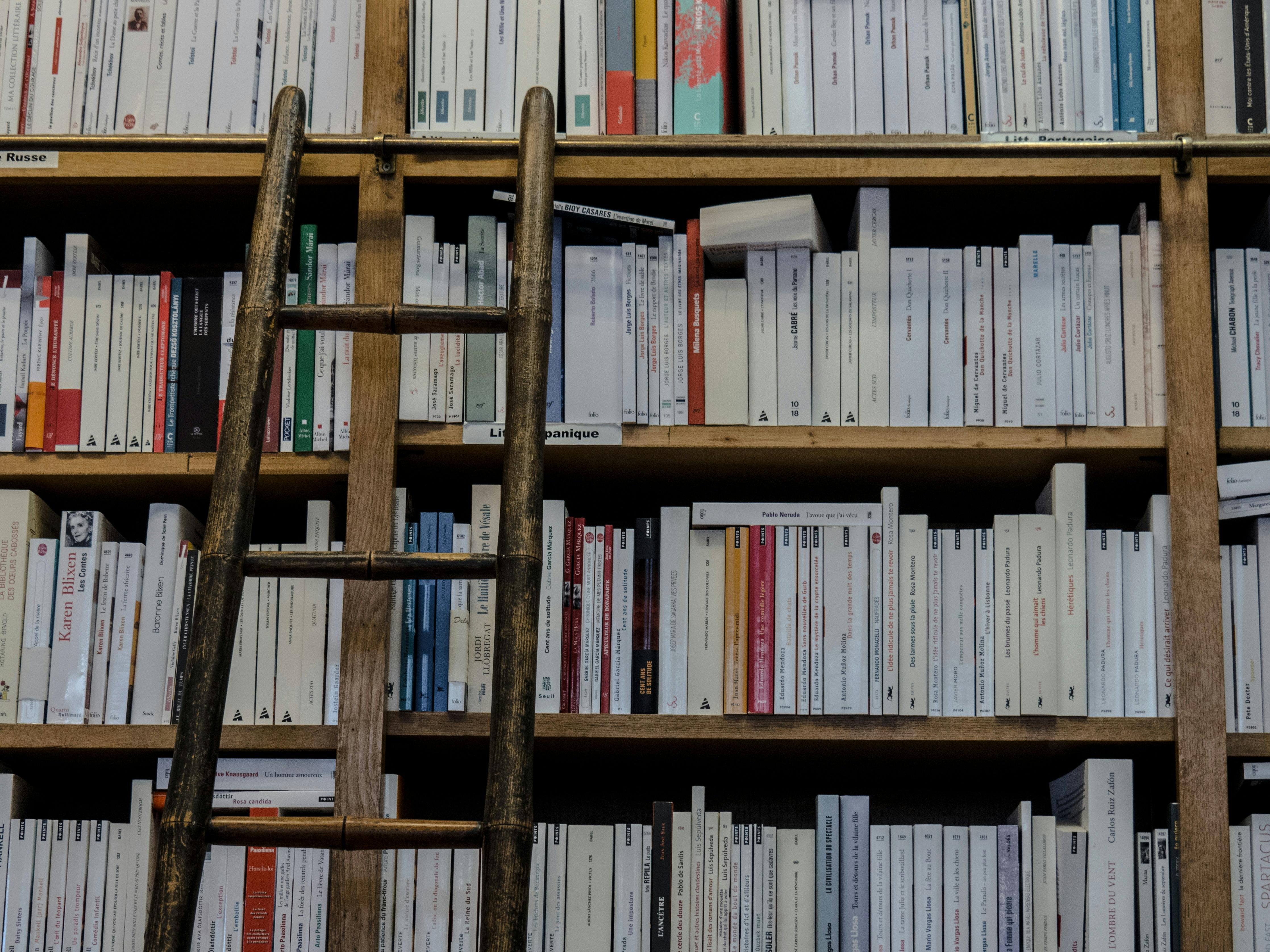 brown wooden ladder on brown wooden bookshelf