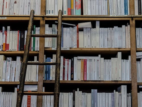 Brown Wooden Ladder on Brown Wooden Bookshelf