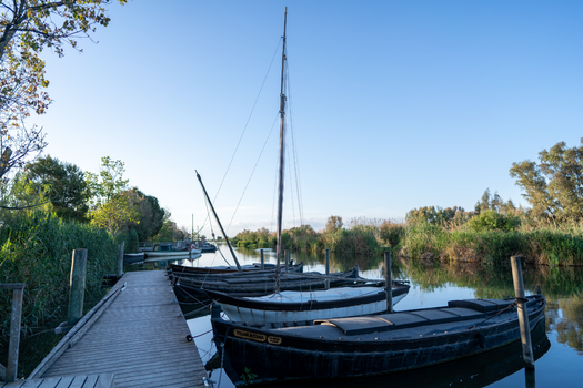Albufera boat at sunset — Valencia