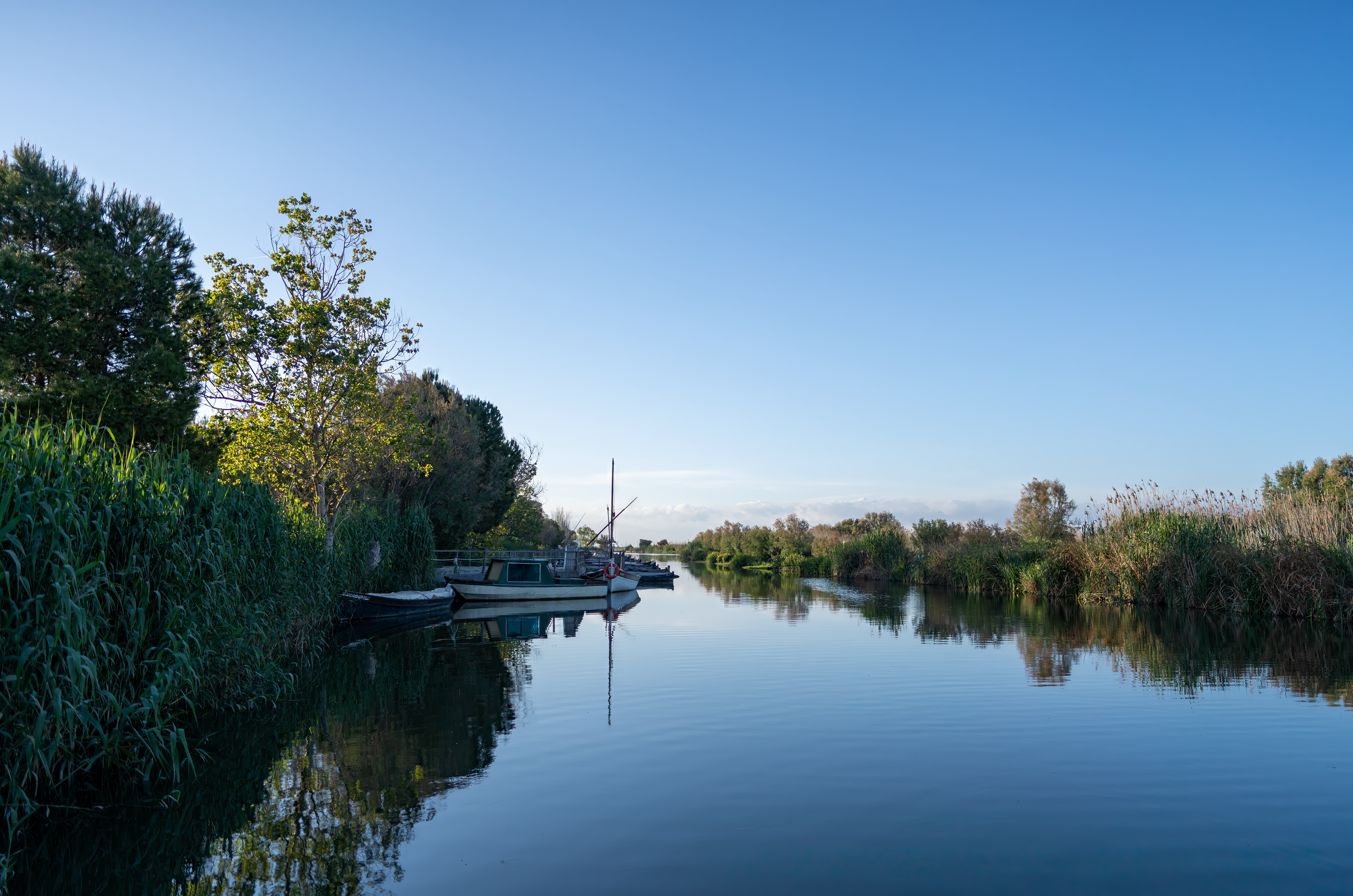 Les meilleures balades en kayak dans le delta du Rhône - illustration