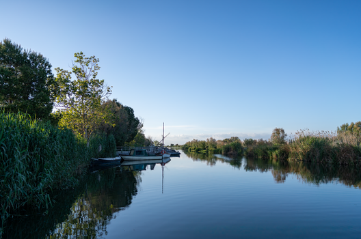Albufera boat at sunset — Valencia