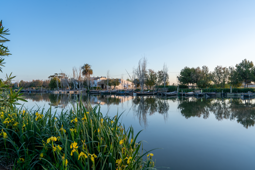 Albufera boat at sunset — Valencia