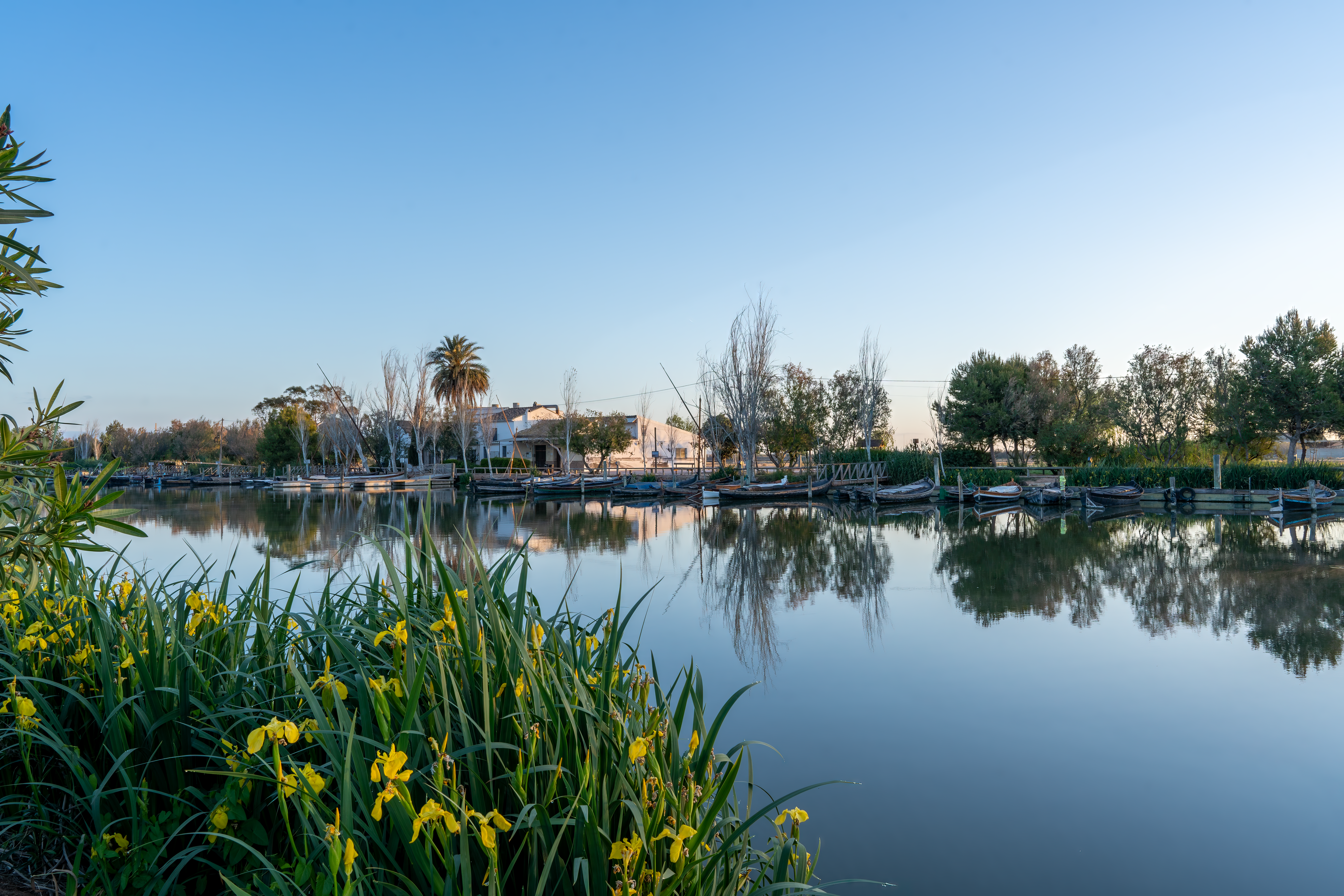 Puerto de Catarroja · Free Stock Photo