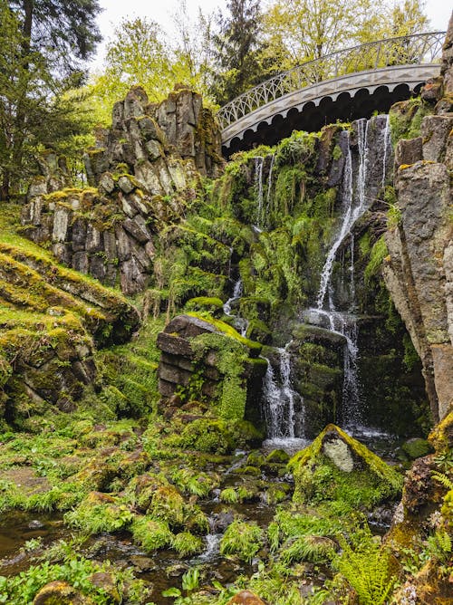 A bridge over a waterfall in a lush green area