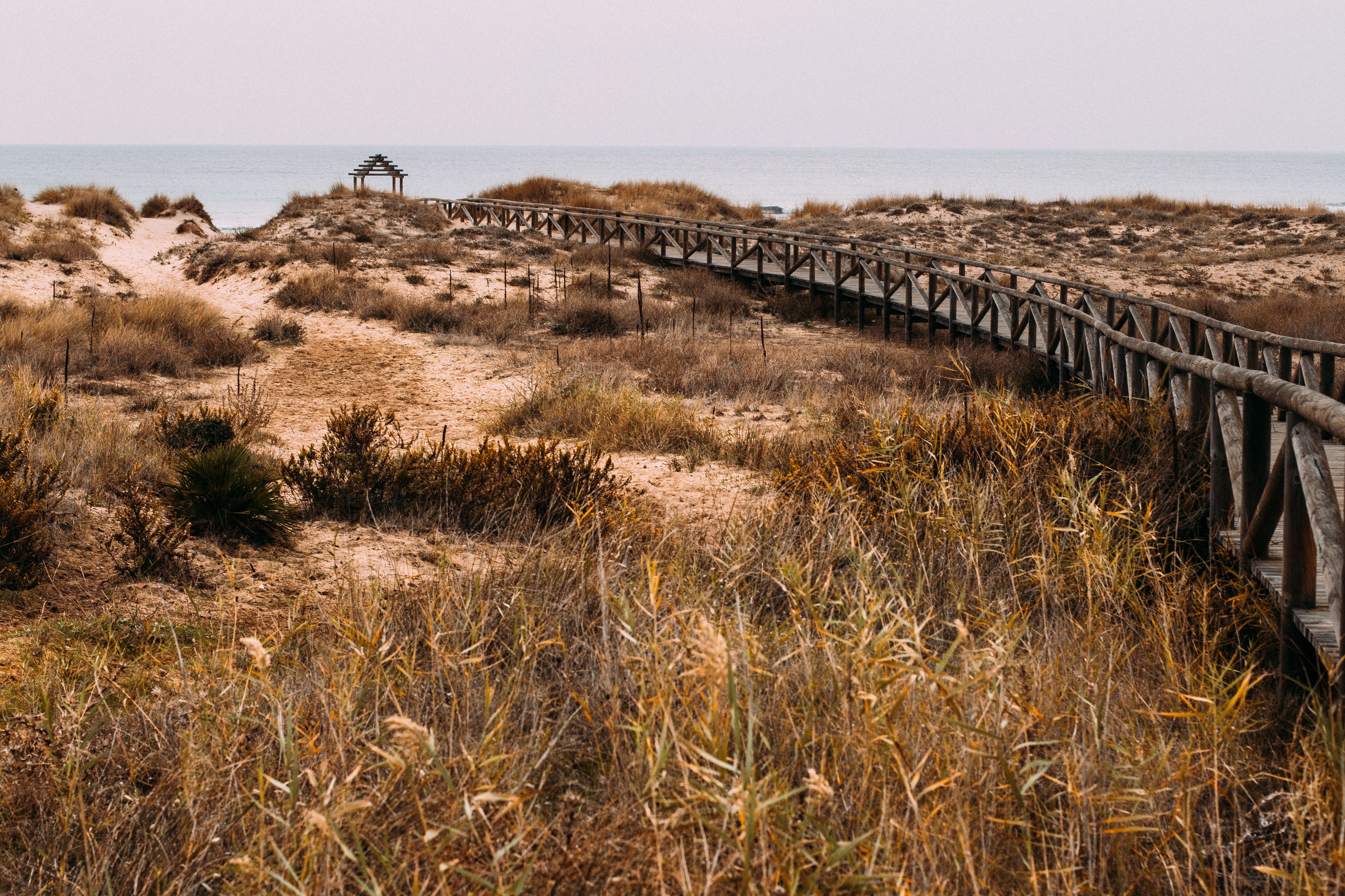 Dunes Serignan plage sentier bois Mediterranee