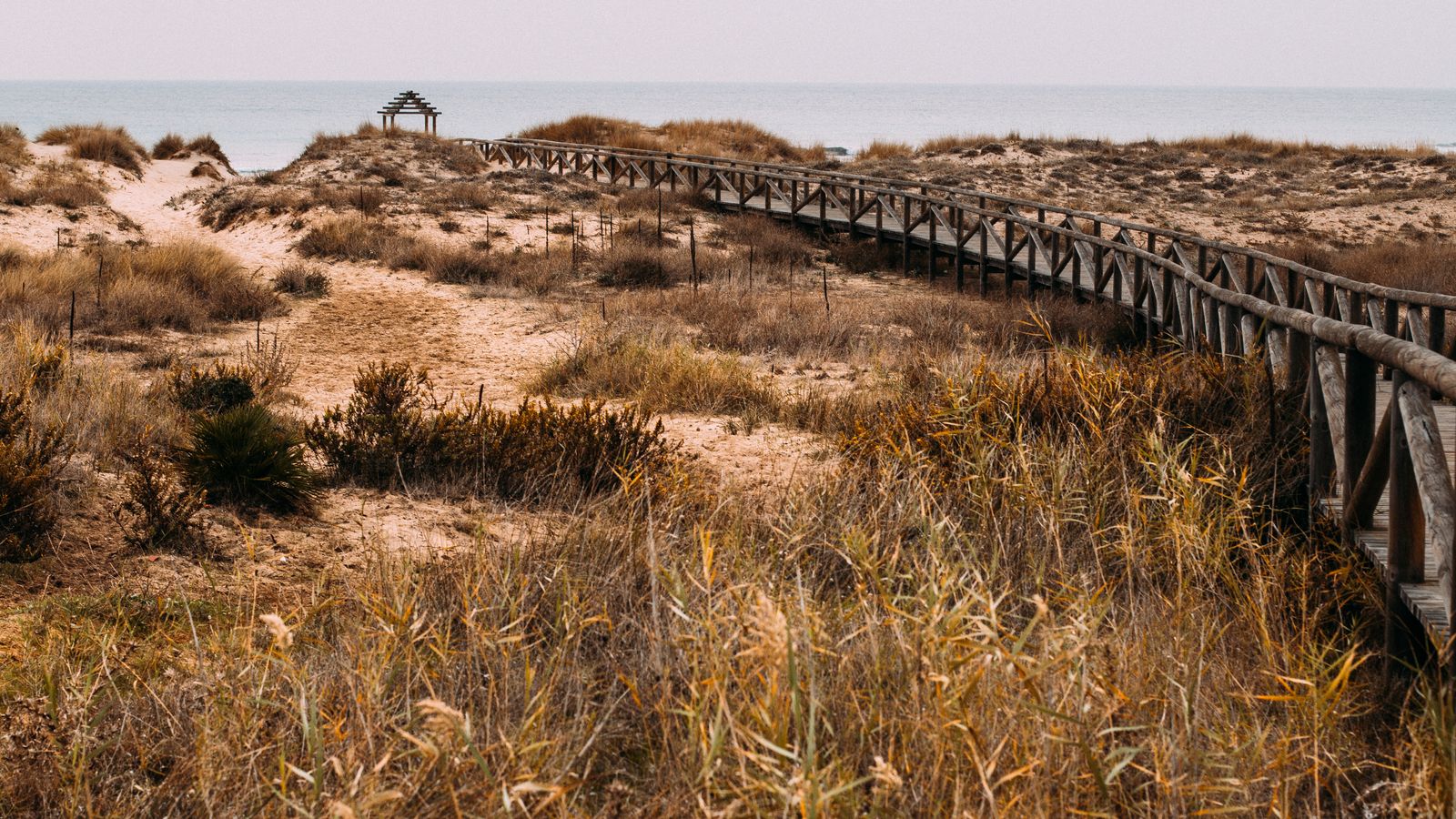 Dunes Serignan plage sentier bois Mediterranee