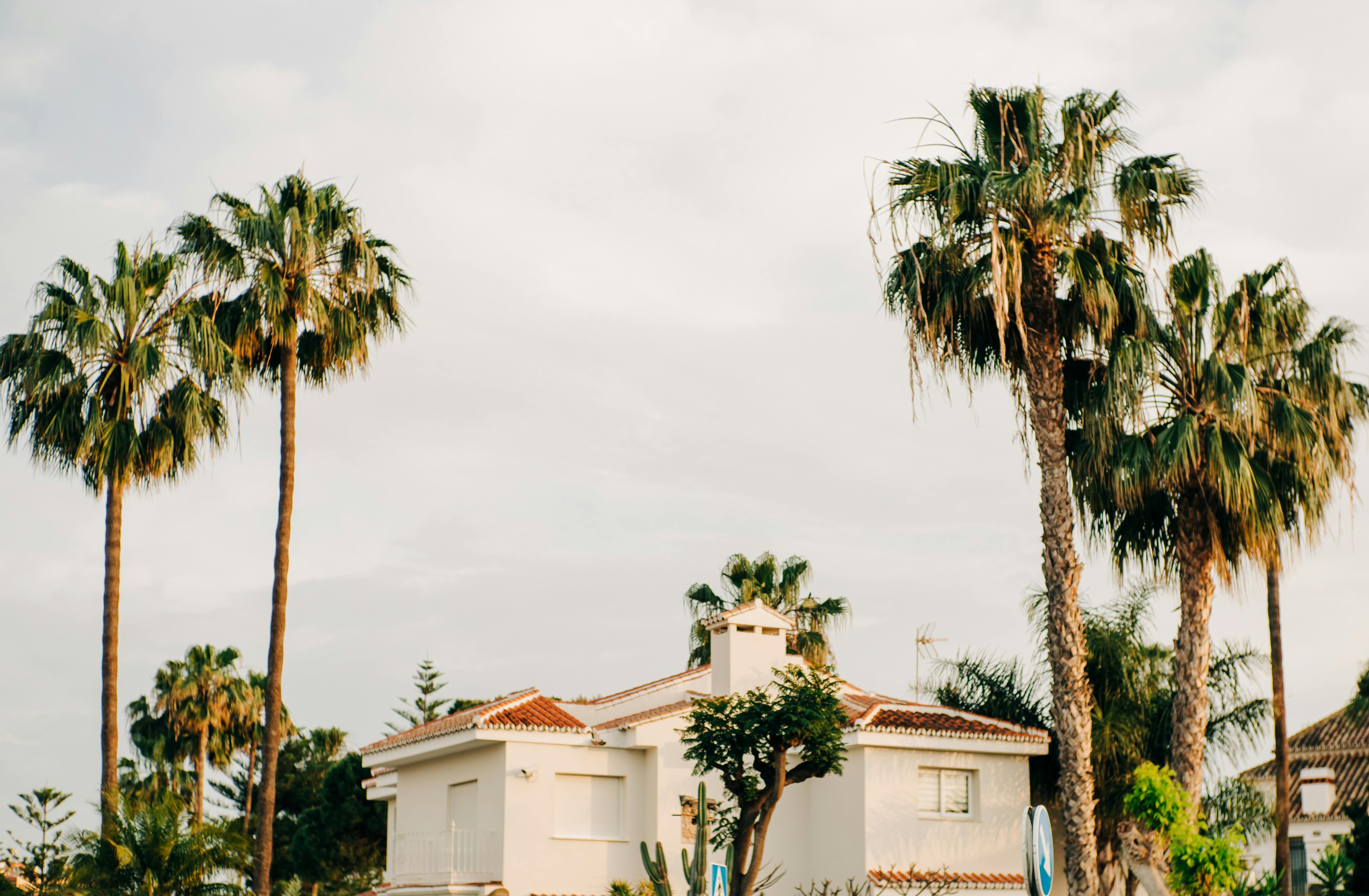 Charming villa surrounded by palm trees in Málaga, Spain, exuding Mediterranean elegance.