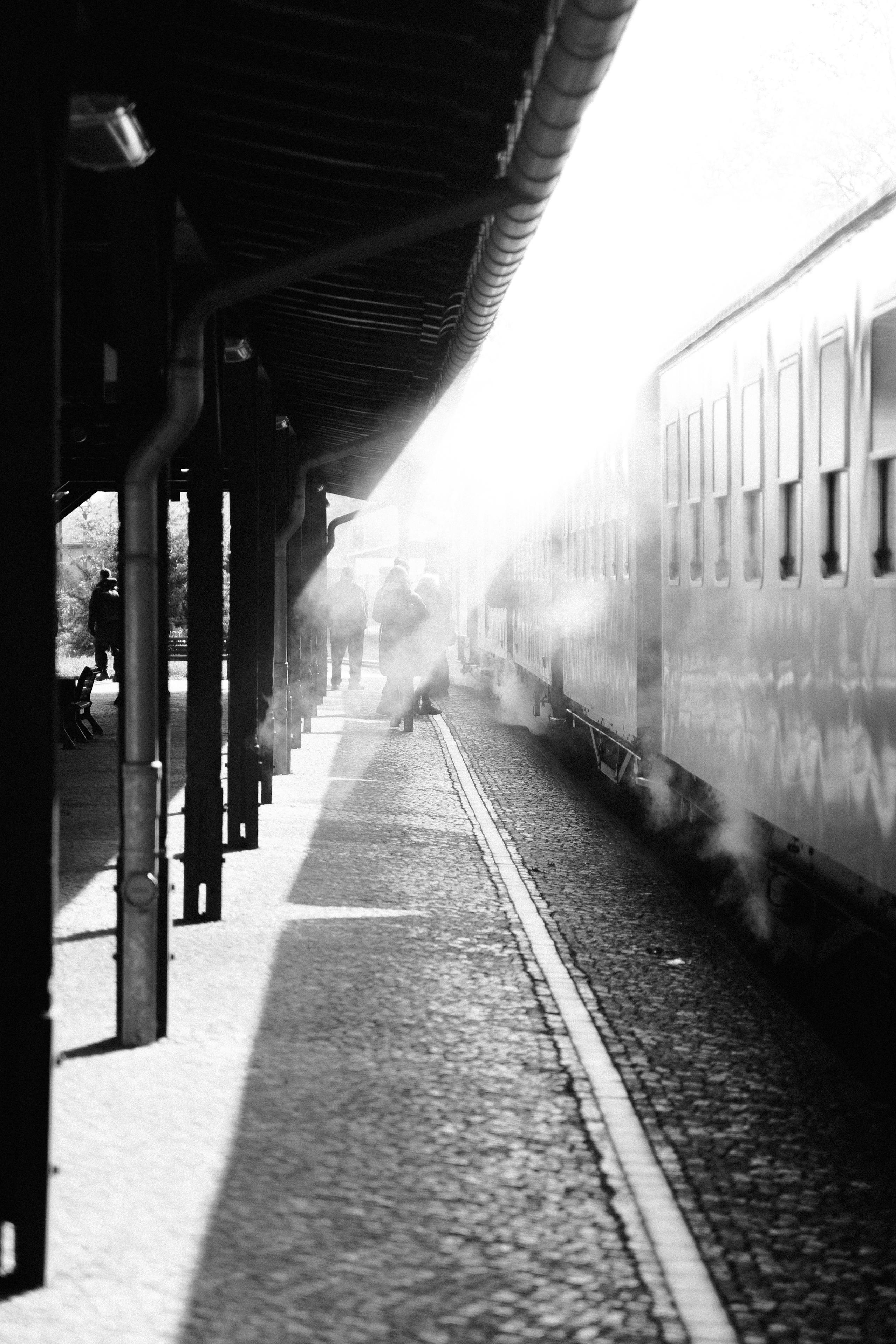 Black and white photo of a steam train at Zittau railway station, capturing a nostalgic travel moment.