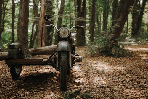 Old Motorcycle with Sidecar in Forest