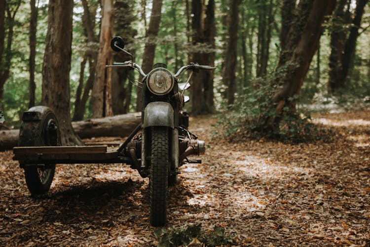 Old Motorcycle With Sidecar In Forest