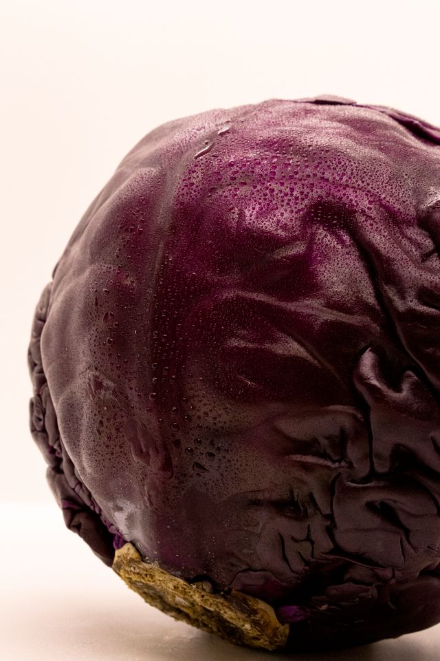 cabbage