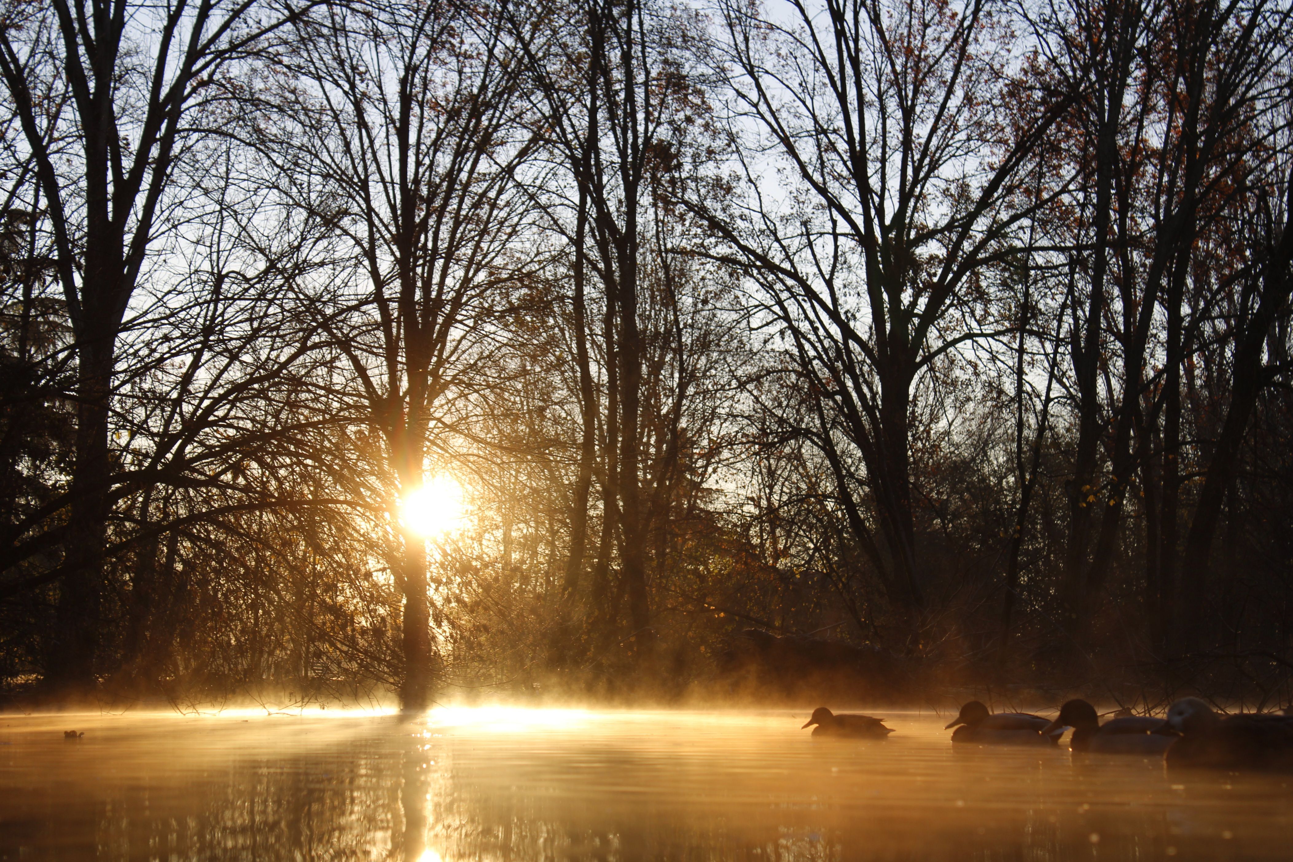 All-Canada Show promotes hunting, fishing and outdoor adventure — Photo by Alehunter78 on Pexels
