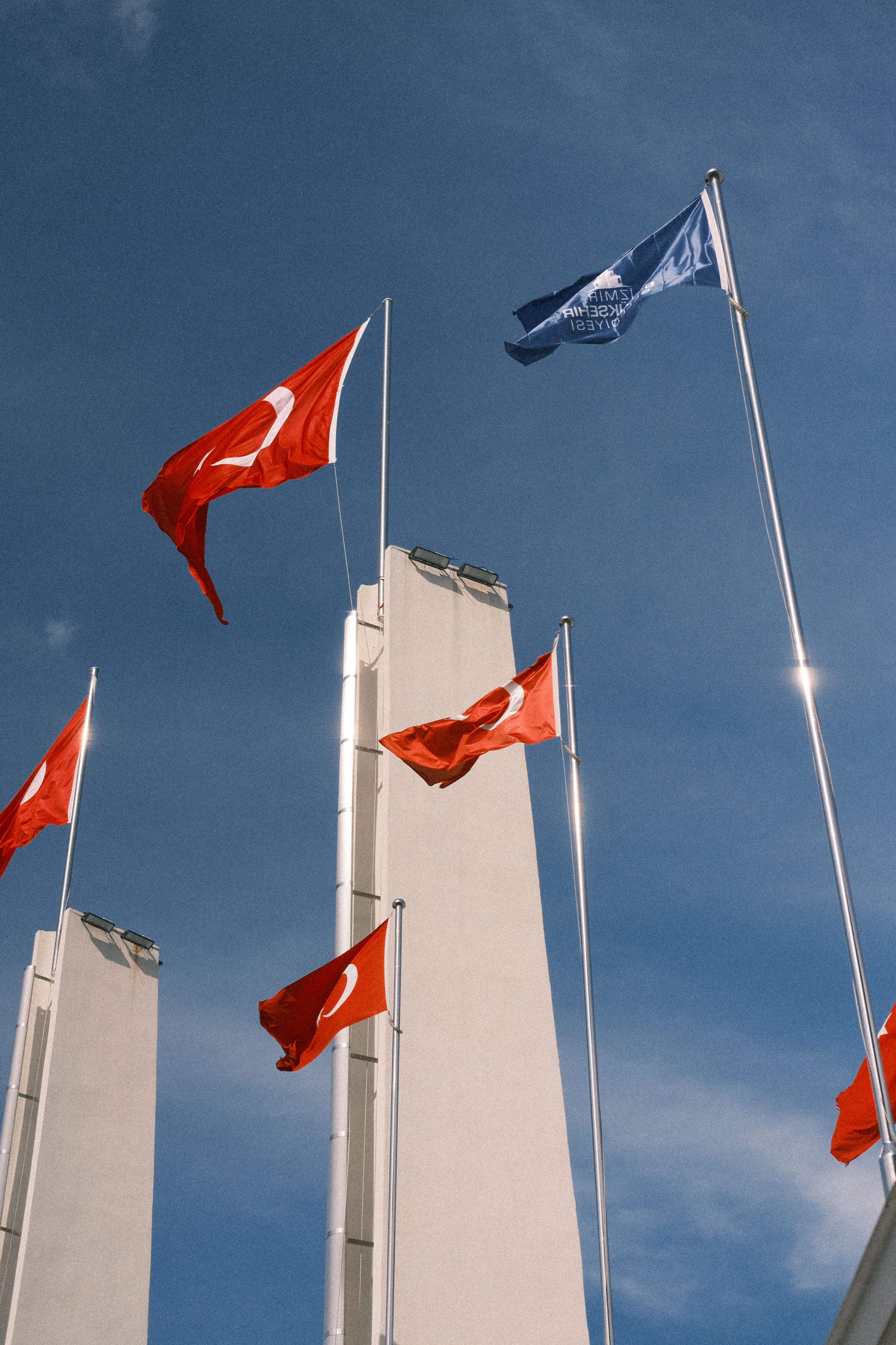 Turkish flags flying in front of a building · Free Stock Photo